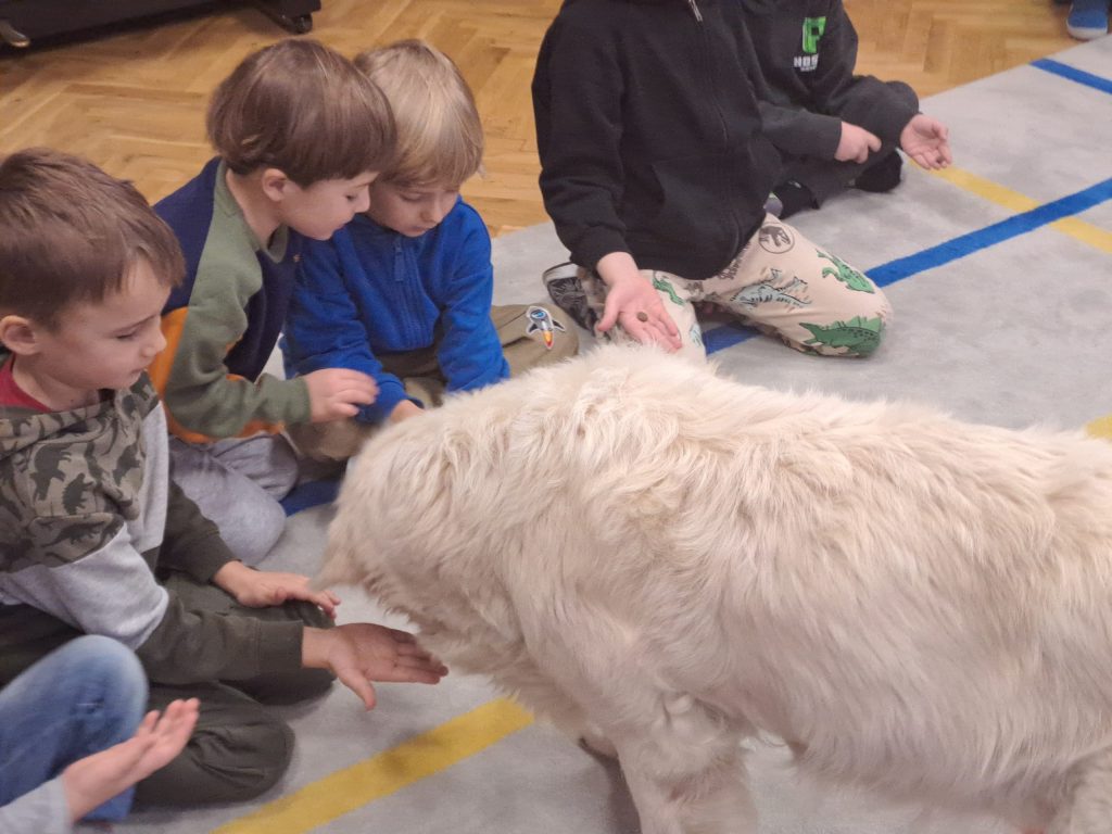 Warsztaty z&nbsp;dogoterapii